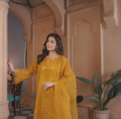 3 Piece luxury Embroidered Lawn Stitched Dress - Fancy 111