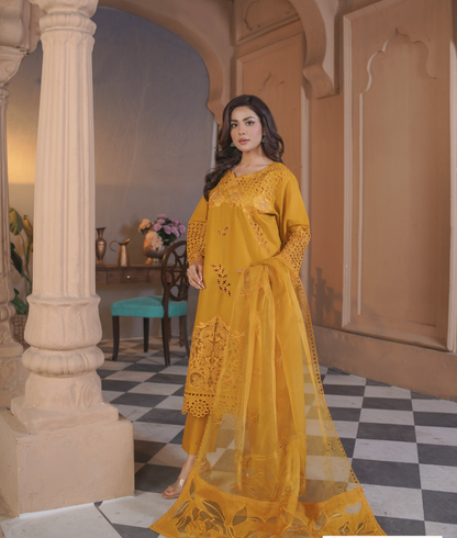 3 Piece luxury Embroidered Lawn Stitched Dress - Fancy 111