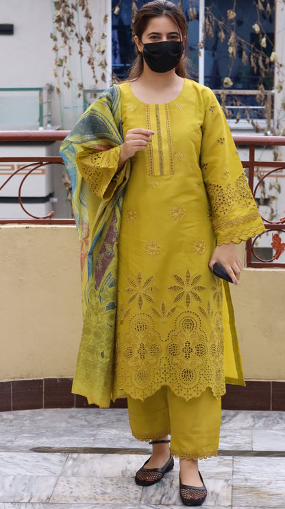 3 Piece Luxury Embroidered Lawn Stitched Dress - Fancy 114