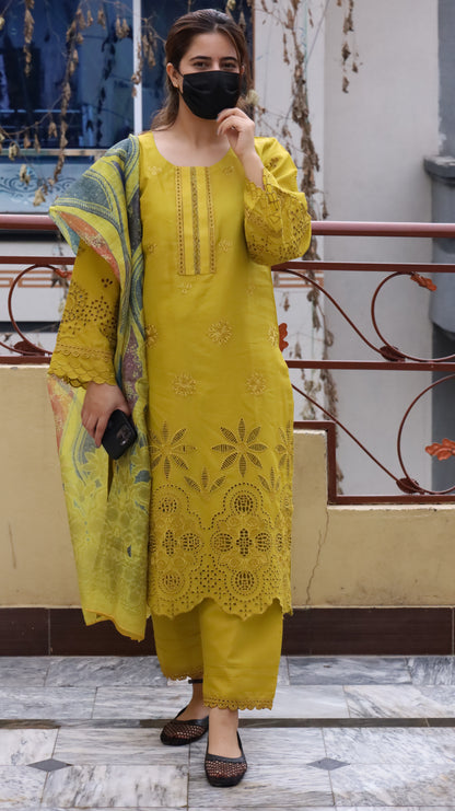 3 Piece Luxury Embroidered Lawn Stitched Dress - Fancy 114